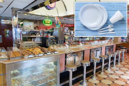 NJ diners fume over new ‘Skip the Stuff’ law affecting take-out orders: ‘Next will be toilet paper in public bathrooms’