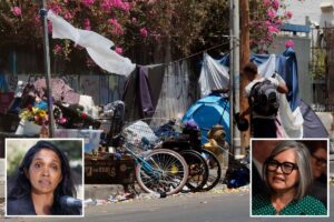 Fury as Nithya Raman greenlights even more taxpayers’ cash for homeless program Fury as Nithya Raman greenlights even more taxpayers’ cash for homeless program
