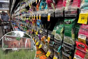 US’ largest food distributor stops lettuce purchases after cyclosporiasis deaths