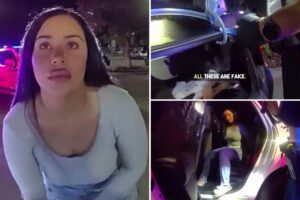 Canadian driver allegedly gave false name before deputies discovered 12 fake IDs: bodycam