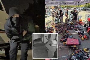 Young punks busted in insane serial armed robbery spree targeting 77 Bay Area homes and cars