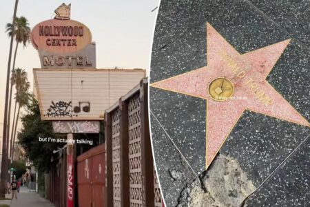 Iconic tourist hotspot once the heart of Hollywood glamour is now being called a ‘crack den’ after years of disrepair