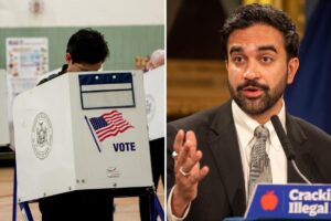 Half of New Yorkers oppose lefty DSA movement, new poll shows Half of New Yorkers oppose lefty DSA movement, new poll shows