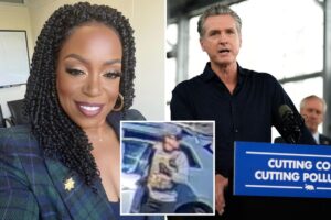 Newsom-appointed judge let criminal illegal migrant walk free day before he allegedly butchered elderly man