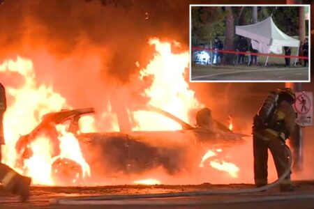 Car erupts into massive fireball killing driver near LA’s iconic Griffith Observatory