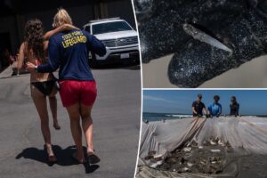 California heat wave increases hidden danger lurking beneath beach waters California heat wave increases hidden danger lurking beneath beach waters
