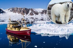 Boat operator fined over K for waking sleeping polar bear Boat operator fined over K for waking sleeping polar bear