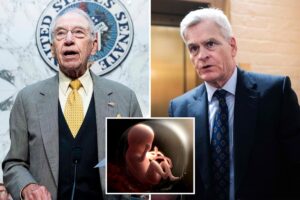 Exclusive | Pro-lifers push investigation into NIH that using aborted baby organs, tissue in research