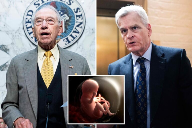 Exclusive | Pro-lifers push investigation into NIH that using aborted baby organs, tissue in research