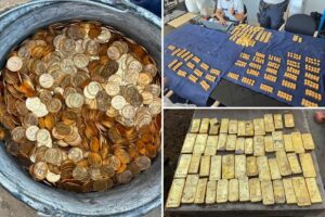 M of gold found hidden in brewery cellar while laying sewage pipe M of gold found hidden in brewery cellar while laying sewage pipe