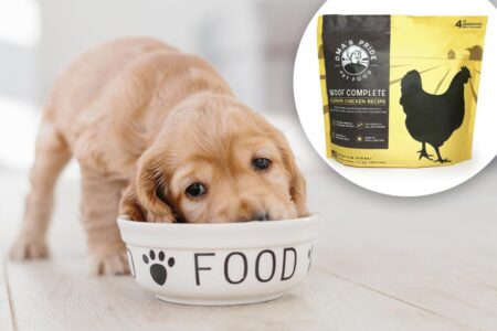 Dog food sold in 11 states recalled over deadly Salmonella contamination fears