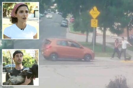 Terrifying moment deranged driver tries to run over couple and their dog at LA park: ‘Bet you’re f—ing scared now’