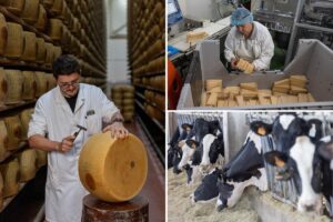 Inside Italy’s 5M cheese vaults that use Parmesan as loan collateral
