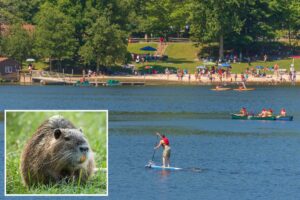Dangerous rabid beavers attack 2 teens, popular Maryland park partially closed