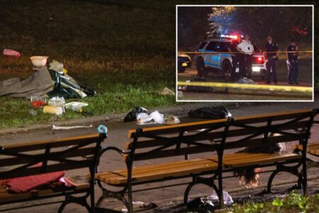 Woman, 30, fatally stabbed in Brooklyn park