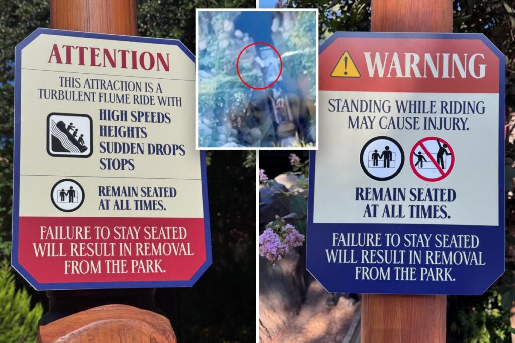 Disneyland threatens guests with park removal after young boy’s dangerous act Disneyland threatens guests with park removal after young boy’s dangerous act