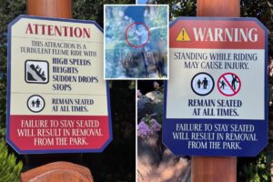 Disneyland threatens guests with park removal after young boy’s dangerous act