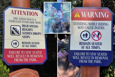 Disneyland threatens guests with park removal after young boy’s dangerous act