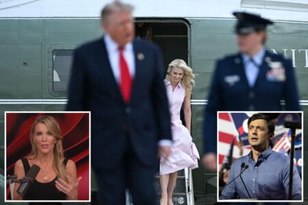 Megyn Kelly blasts Jon Ossoff for ‘despicable’ insinuation about Trump, Natalie Harp: ‘Absolutely nothing to back that up’