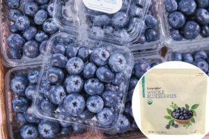 Blueberry recall over deadly E. coli fears hits FDA’s highest-risk level — with 12 sickened, 4 hospitalized