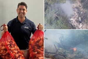 Millionaire food entrepreneur once on Forbes 30 Under 30 among 5 Americans killed in Kenyan helicopter crash