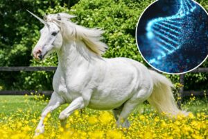 California bill seeks to ban sale of ‘unicorns’, glowing rabbits and other gene-edited pets California bill seeks to ban sale of ‘unicorns’, glowing rabbits and other gene-edited pets