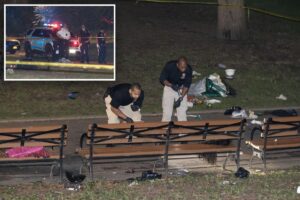 Maniac fatally stabbed 30-year-old mom in NYC park in fit of rage over spurned advances – in front of her son, 7: NYPD