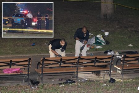 Maniac fatally stabbed 30-year-old mom in NYC park in fit of rage over spurned advances – in front of her son, 7: NYPD