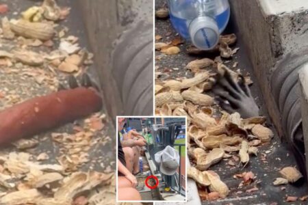 Mets fans startled by hand creeping through hole in Citi Field stands to snag peanuts, hot dog