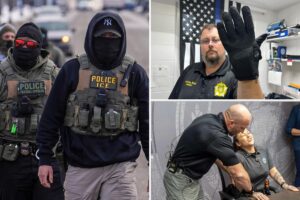 California lawmaker’s unprecedented attack on ICE in move to ban new tech California lawmaker’s unprecedented attack on ICE in move to ban new tech