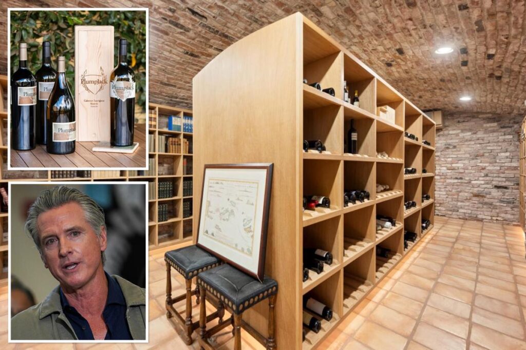 Gavin Newsom claims he ‘didn’t even know’ about 5,000-bottle wine cellar at his .5M home