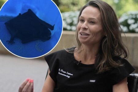 Doctor shares PSA after waking up to a bat trying to ‘burrow’ into her mouth