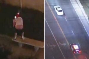 Excited bystander flashes his butt cheeks as hours-long police pursuit rolls through LA neighborhood