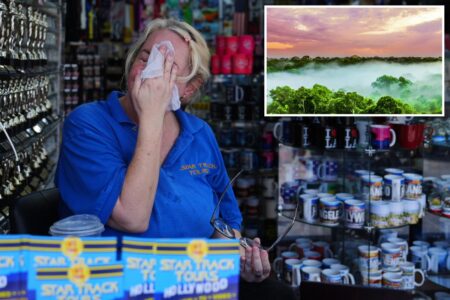 Swampy SoCal sets record for heat misery: ‘Comparable to the Amazon rainforest’