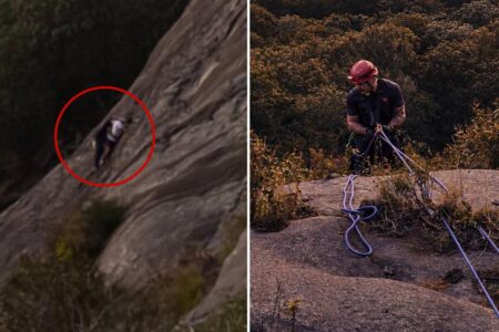 Firefighter dramatically rescues free climber stranded on Georgia rock face who called 911