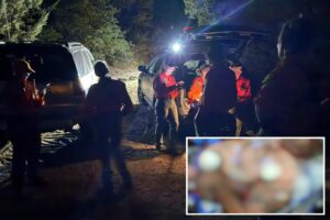 Race against time to save camper attacked by rattlesnake at Arizona remote site