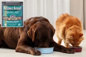 Raw cat and dog food recalled nationwide over salmonella, listeria risk