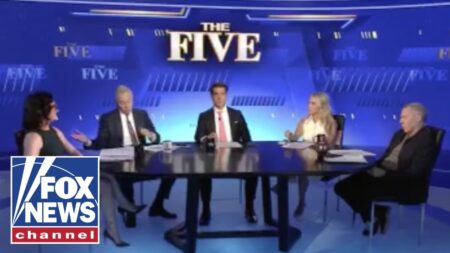 ‘The Five’: President Trump says roadways have been ‘terrorized’ by illegal immigrant drivers
