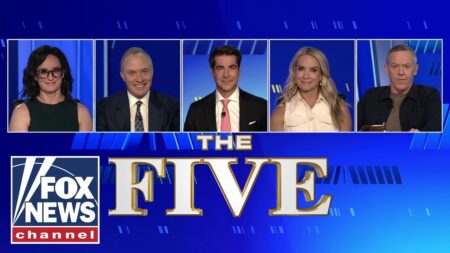 ‘The Five’: Surging socialists take on Democrat moderates