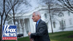 Fauci was ‘saving himself from HUMILIATION’: Former federal prosecutor Fauci was ‘saving himself from HUMILIATION’: Former federal prosecutor