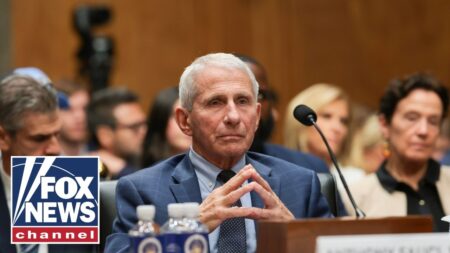 Fauci is clearly a VILLAIN, Sen Rick Scott argues Fauci is clearly a VILLAIN, Sen Rick Scott argues