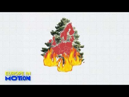 Wildfires: Europe on track for worst year on record as burned area reaches size of Luxembourg