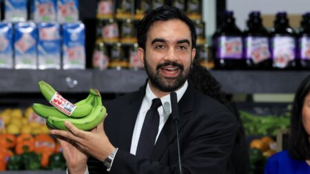 Mamdani’s grocery giveaway hits ID snag as critics cry foul: ‘Make it make sense’