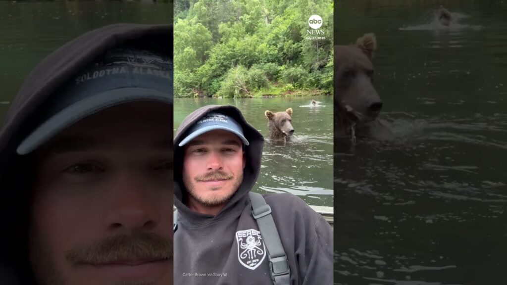 Grizzly bear chows down right next to fishing guide