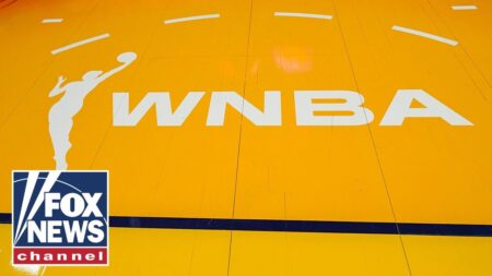 The WNBA has ‘no integrity’: Dan Dakich