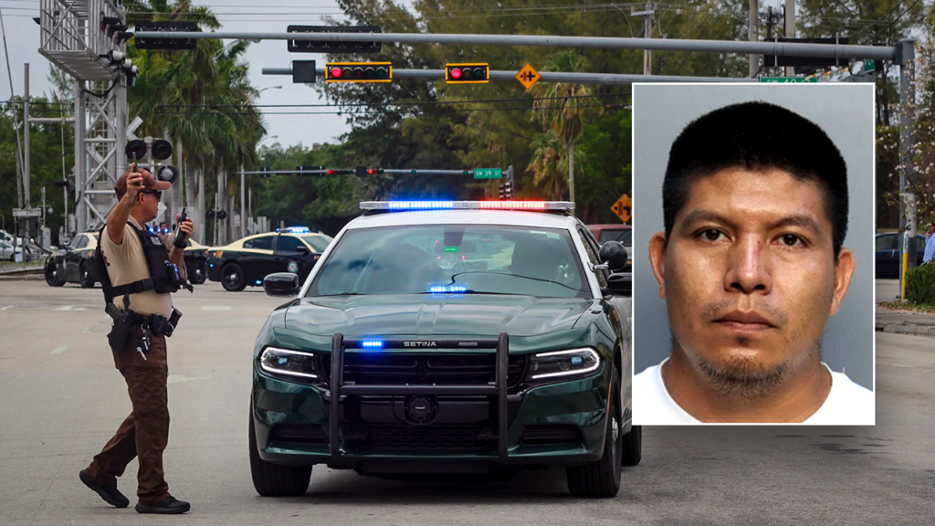 EXCLUSIVE: Illegal immigrant’s hit-and-run on ‘kind’ elderly woman triggers ICE action: ‘Could hear screaming’