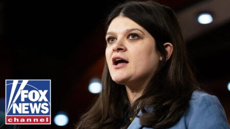 WATCH: Haley Stevens holds election watch party WATCH: Haley Stevens holds election watch party