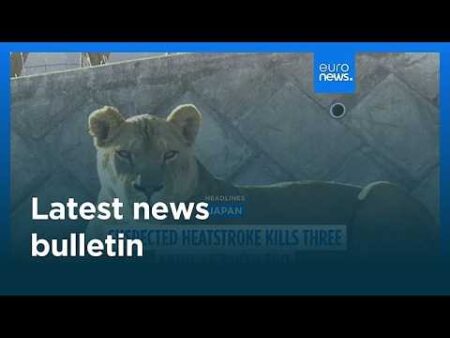 Latest news bulletin | August 5th, 2026 – Morning