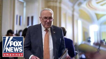 Schumer DODGES on support for far-left Dem in key race