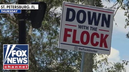 ‘END OF FREEDOM’: Flock cameras spark FIERCE backlash nationwide